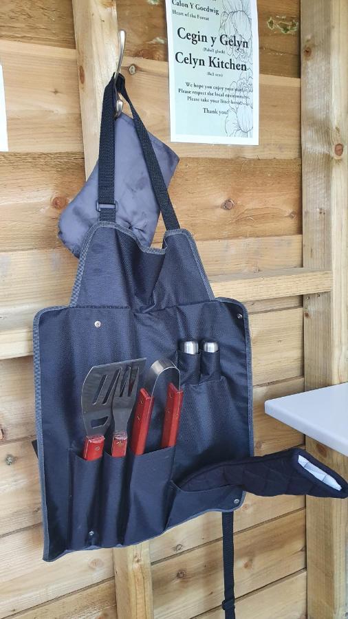 Calon Y Goedwig Glamping 호텔 랸도베리 외부 사진