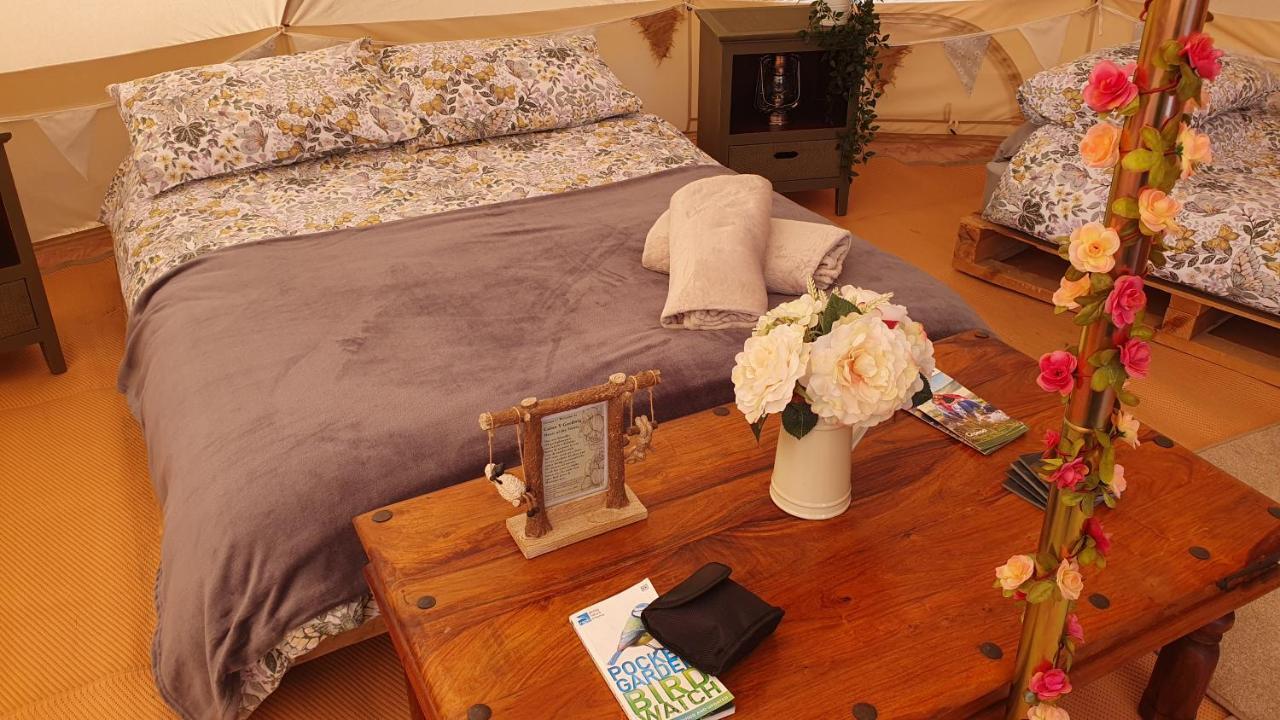 Calon Y Goedwig Glamping 호텔 랸도베리 외부 사진